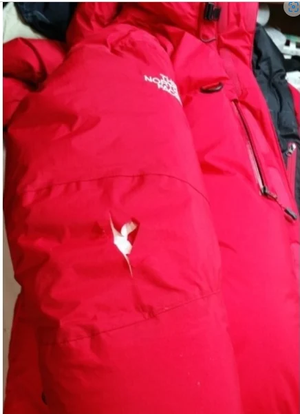 red001-b01